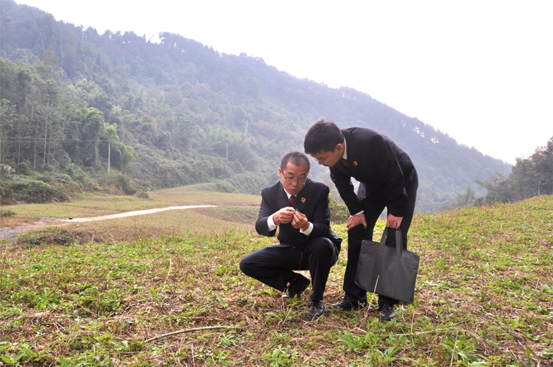 以行政公益诉讼保护农村耕地 堆了十年的“固废山”终于搬走了！