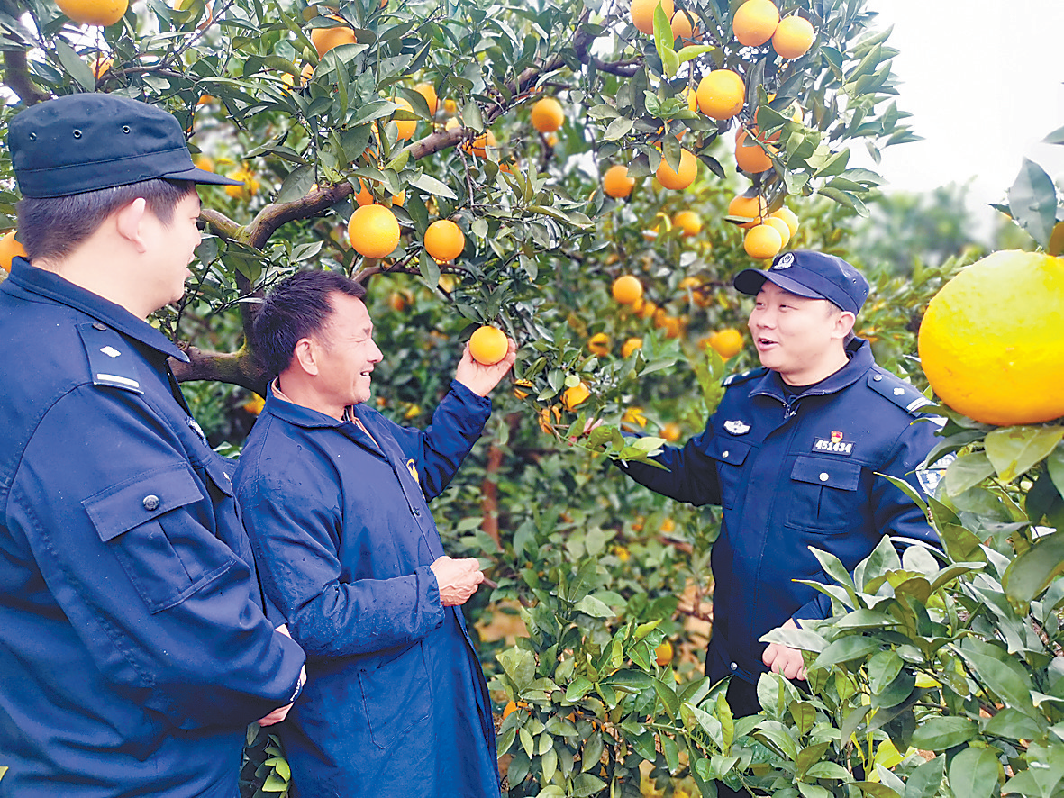果农遇到种植难题竟要向民警请教？“脐橙警务”成为全国乡村治理典型